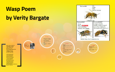 Wasp Poem by Virginie C. on Prezi