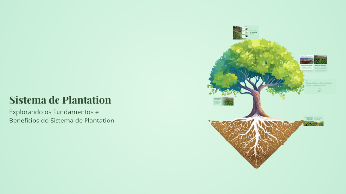 Sistema de Plantation by Bernardo Gaurink Pessotti on Prezi