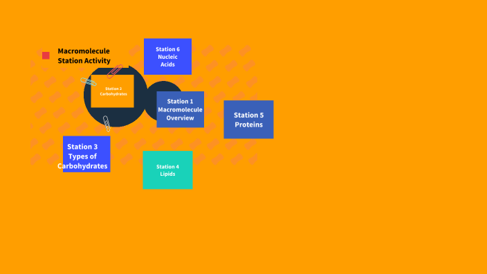 Macromolecule Station Lab by Alison Crocker on Prezi