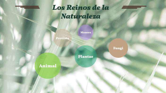 Los Reinos de la Naturaleza by Jessendry umaña on Prezi