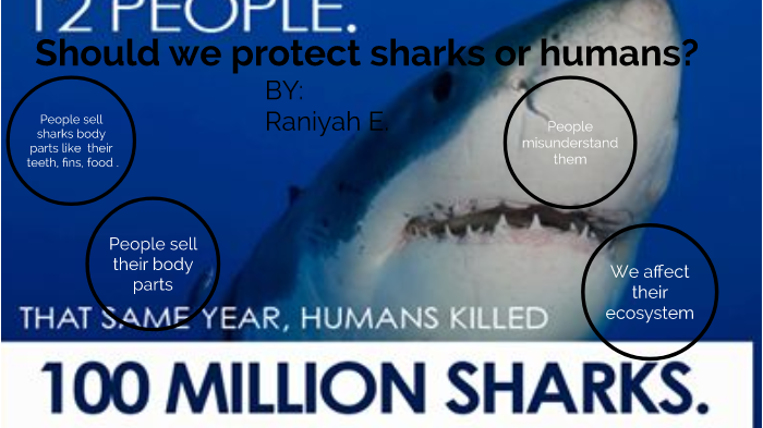 Sharks vs Humans by Raniyah Ellis on Prezi