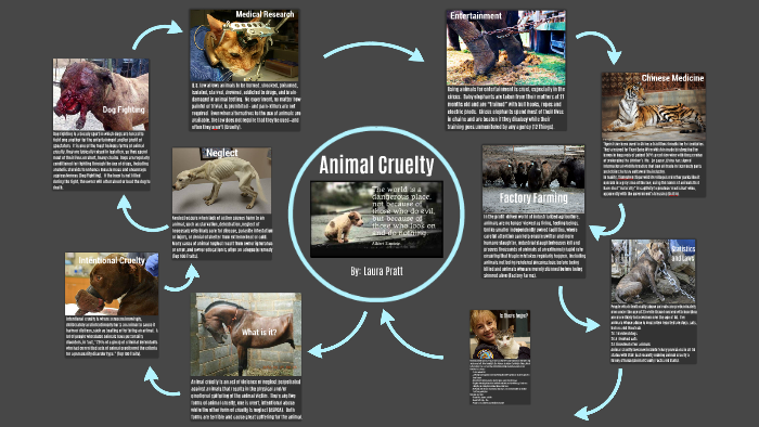 Animal Cruelty by Laura Pratt on Prezi Next