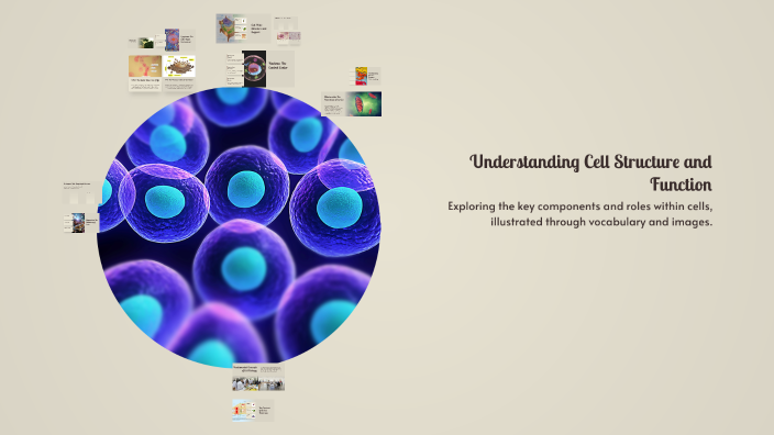 Understanding Cell Structure and Function by Olivia Morency on Prezi
