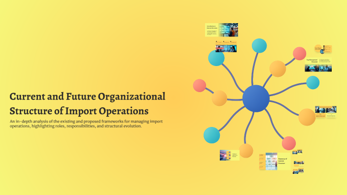 Importing Structure Current and Future Organizational Structure of Import Operations by ...