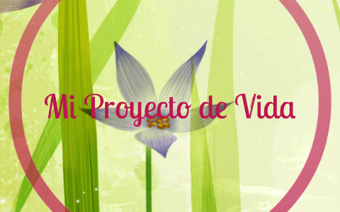 Mi proyecto de vida by Daniel Velasquez Cea on Prezi