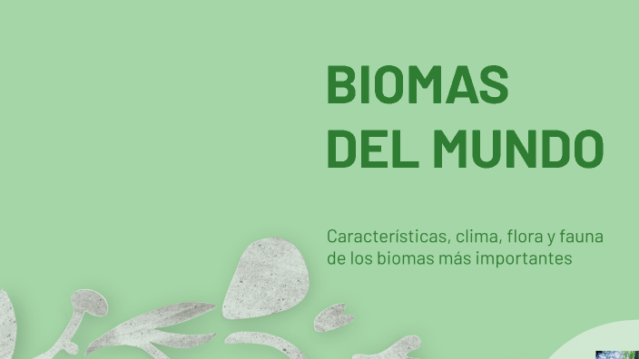 BIOMAS DEL MUNDO by ESTALIN QUEVEDO on Prezi