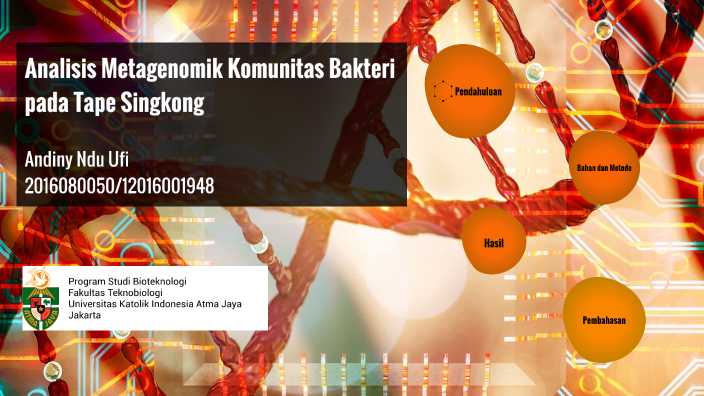 Analisis Metagenomik Komunitas Bakteri pada Tape Singkong