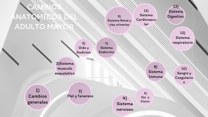 CAMBIOS ANATOMICOS DEL ADULTO MAYOR by GLORIA ESPINOSA on Prezi