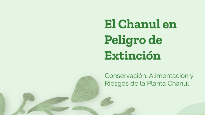 Chanul El Chanul en Peligro de Extinción by JUAN JOSÉ CAICEDO OSPINA on Prezi