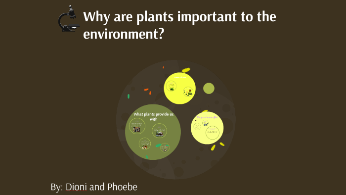 why-are-plants-important-to-the-environment-by-dioni-ell