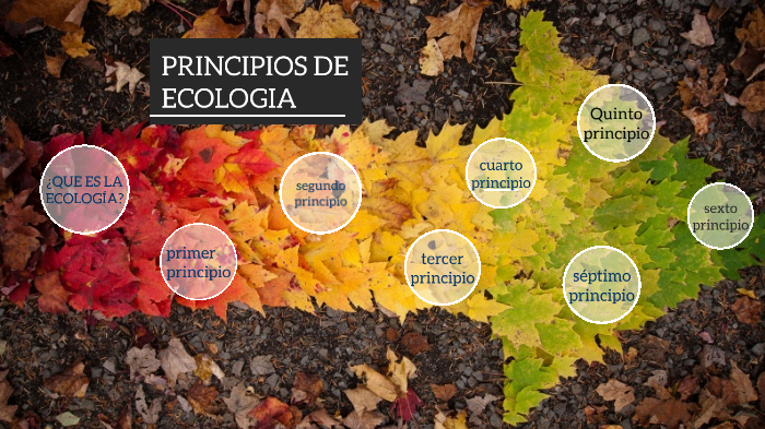 PRINCIPIOS DE ECOLOGIA by Nicolas Martinez on Prezi