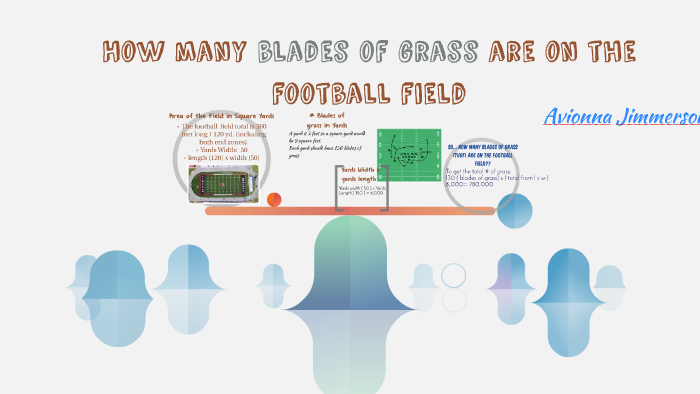 How many blades of grass are on the football field by Avionna Jimmerson ...