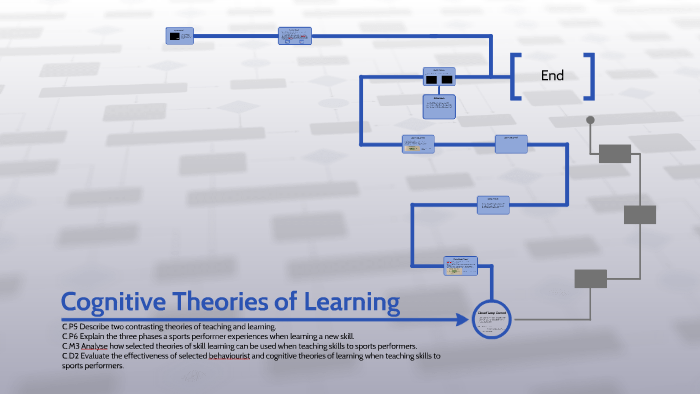 Cognitive Theories of Learning by Steve Couldwell on Prezi