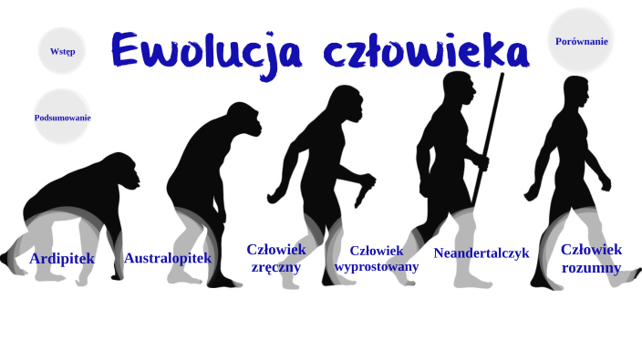 Ewolucja Cz owieka By Zuzia akma On Prezi Ewolucja Cz owieka By Zuzia akma On Prezi