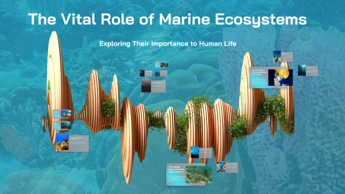 The Vital Role of Marine Ecosystems by looth looth on Prezi
