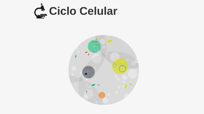 Ciclo Celular by pedro lopez perez on Prezi