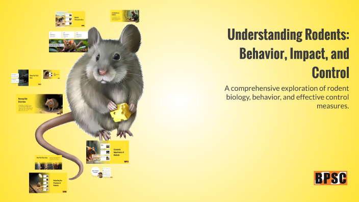 Understanding Rodents: Behavior, Impact, and Control by Redentor Garfin ...