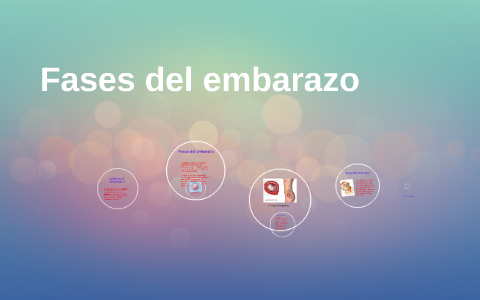 Fases del embarazo by on Prezi