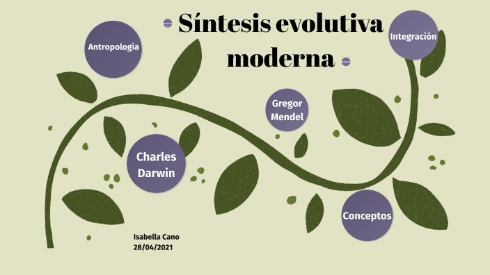 Síntesis Evolutiva Moderna By Isabella Cano On Prezi