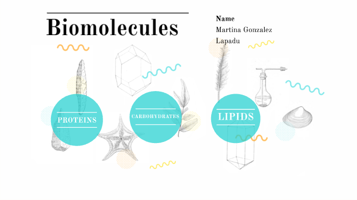 Biomolecules by Martina Gonzalez on Prezi