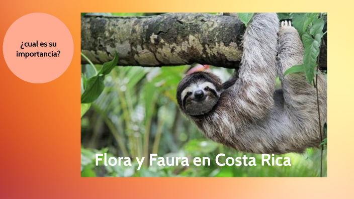 Flora y Fauna en Costa Rica by Melani Salazar on Prezi