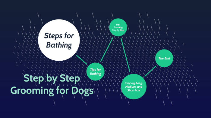 Step by Step Grooming for Dogs by Morgan W on Prezi
