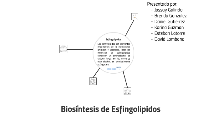 Degradacion de Esfingolipidos by David Lombana on Prezi Next