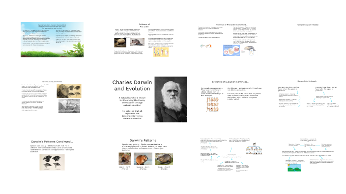 Evolution Mind Map by Sidh Saini on Prezi