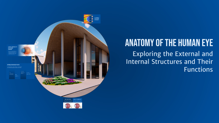Anatomy of the Human Eye by Suman Dubey on Prezi