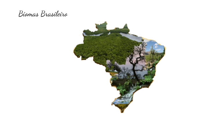 Biomas brasileiros by Maria Eduarda Canto Gomes on Prezi