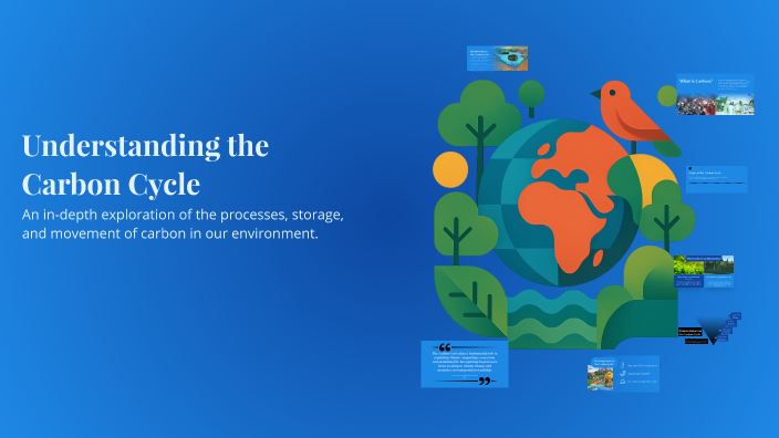 Understanding the Carbon Cycle by Jason Yan on Prezi