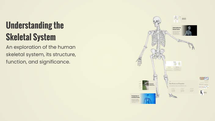 Understanding the Skeletal System by Annabella Rainey on Prezi