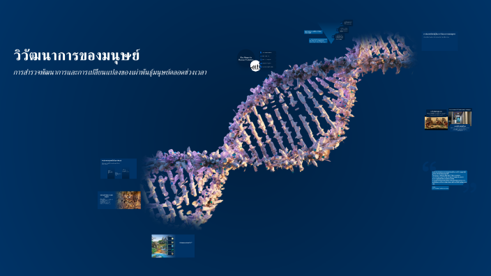 The Evolution of Humans by สิทธิยา ต๊ะมาลัย on Prezi