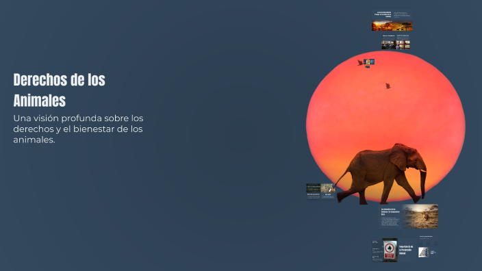 Derechos de los Animales by Antonella Castro on Prezi
