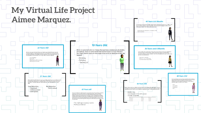 my virtual life assignment free