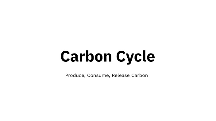 Carbon Cycle by NGUYEN Hong Nhi on Prezi