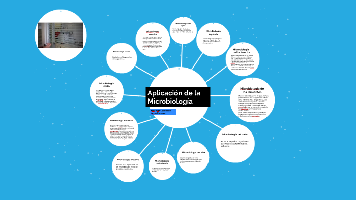 Aplicacion de la Microbiología by Keyla Romero on Prezi