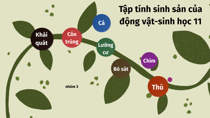 bài thuyết tình của nhóm 3-11A1 by Nguyễn Hiếu on Prezi