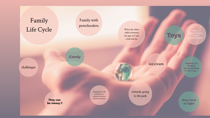 What Do U Understand By Family Life Cycle