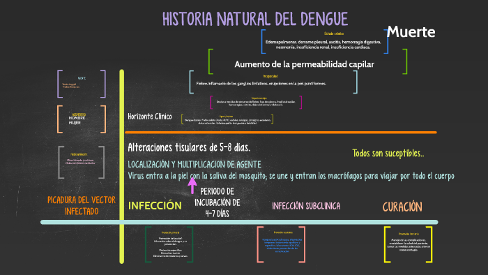 HISTORIA NATURAL DEL DENGUE by othimia yaslie santos giron