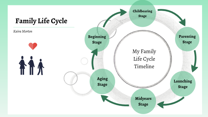 Stages Of Marriage Life Cycle