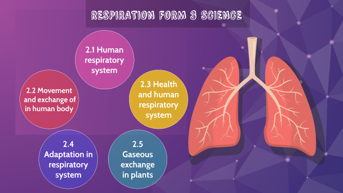 CHAPTER 2 FORM 3 KSSM RESPIRATION by NABILAH OTHMAN on Prezi