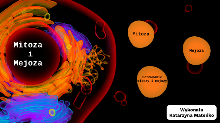 Mitoza i mejoza by Kasia Mateńko on Prezi