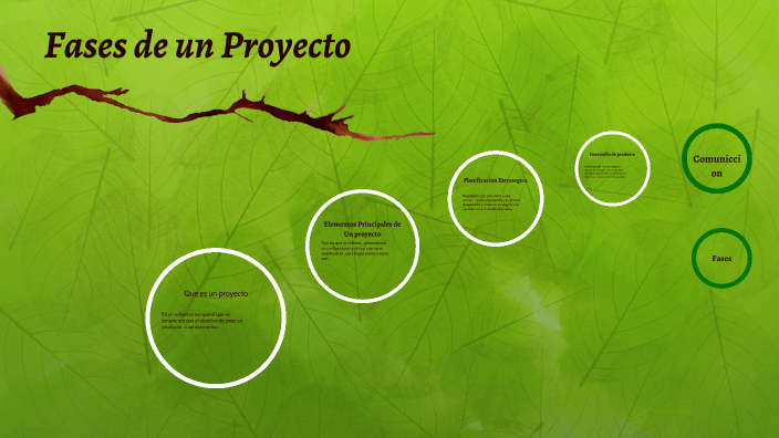Fases de un Proyecto by Edy Sanchez on Prezi