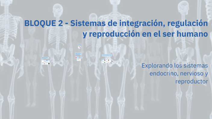 BLOQUE 2 - Sistemas de integración, regulación y reproducción en el ser