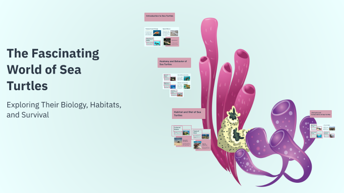 The Fascinating World of Sea Turtles by Alexa Poropatic on Prezi