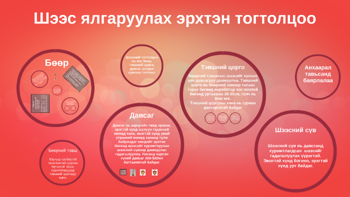 Шээс ялгаруулах эрхтэн тогтолцоо by batbayr zolbayr on Prezi