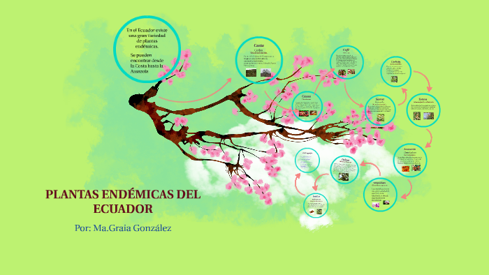 Plantas Endemicas Del Ecuador By Ma Gracia Gonzalez Jarrin On Prezi