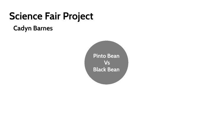 pinto-bean-vs-black-bean-by-cadyn-barnes-on-prezi