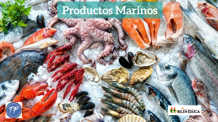 Productos Marinos by juan pablo on Prezi Next